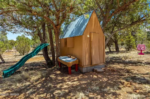 3355 Turkey, Overgaard, AZ 85933 photo 31