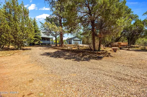 3355 Turkey, Overgaard, AZ 85933 photo 4