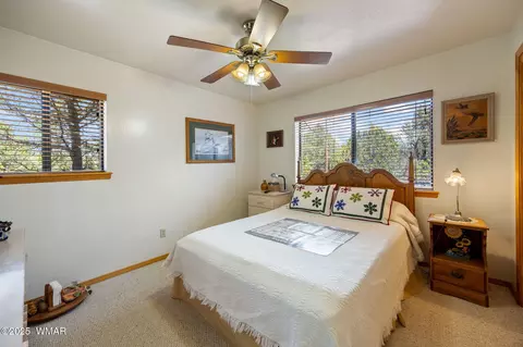 3355 Turkey, Overgaard, AZ 85933 photo 17