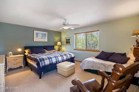 3355 Turkey, Overgaard, AZ 85933 photo 14