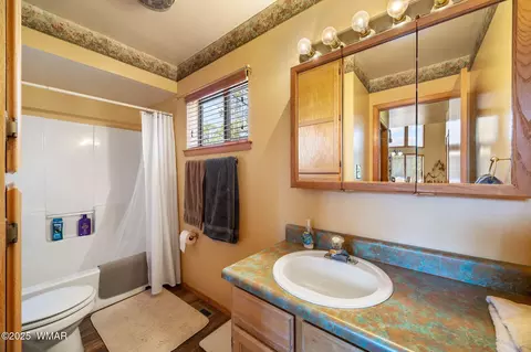 3355 Turkey, Overgaard, AZ 85933 photo 19