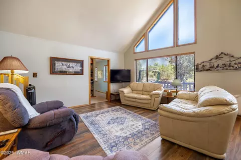 3355 Turkey, Overgaard, AZ 85933 photo 8
