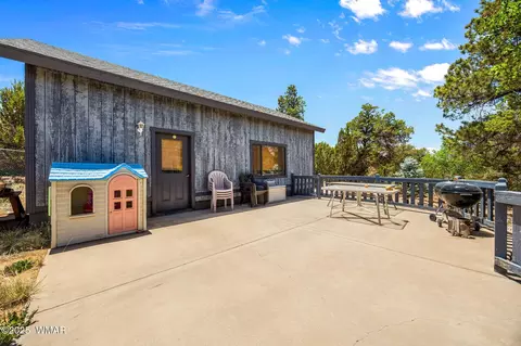 3355 Turkey, Overgaard, AZ 85933 photo 29