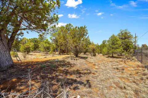3355 Turkey, Overgaard, AZ 85933 photo 32