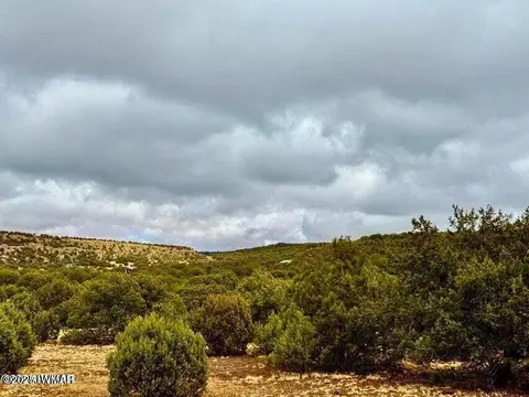 tbd Co Rd 8256 Lot E 10 Acres, Concho, AZ 85924