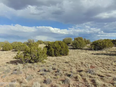 38 Gila Dr, Concho, AZ 85924