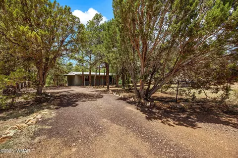 3622 Red Wing Loop, Overgaard, AZ 85933 photo 3