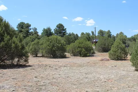 551 E Owens, Show Low, AZ 85901