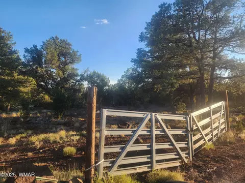 26 County Rd 3323, Vernon, AZ 85940