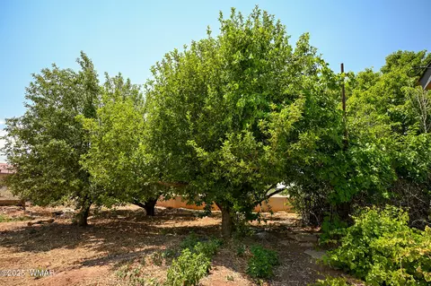 260 E 1st St, Snowflake, AZ 85937 photo 34