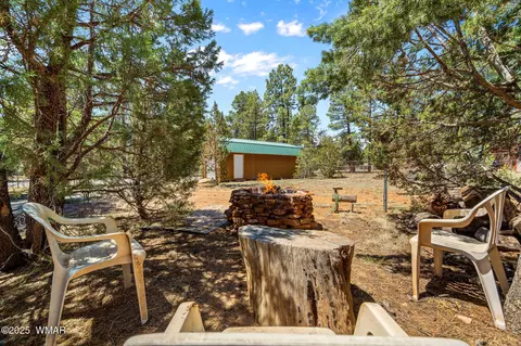 Exterior - 2860 Moose Trl, Overgaard, AZ 85933 photo 6 of 10