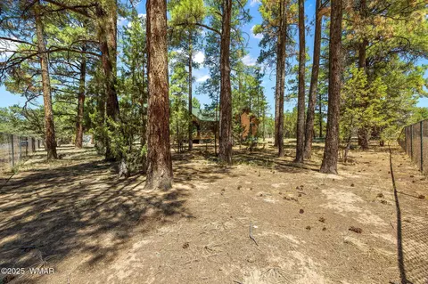 Exterior - 2860 Moose Trl, Overgaard, AZ 85933 photo 8 of 10