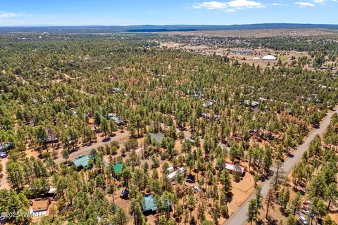 View/Area - 2860 Moose Trl, Overgaard, AZ 85933 photo 4 of 6