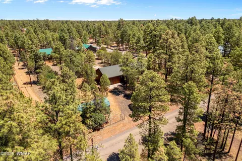 View/Area - 2860 Moose Trl, Overgaard, AZ 85933 photo 1 of 6