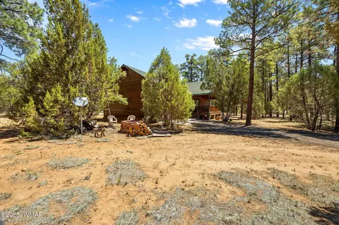 Exterior - 2860 Moose Trl, Overgaard, AZ 85933 photo 9 of 10