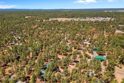 View/Area - 2860 Moose Trl, Overgaard, AZ 85933 photo 2 of 6