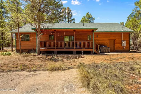Exterior - 2860 Moose Trl, Overgaard, AZ 85933 photo 5 of 10