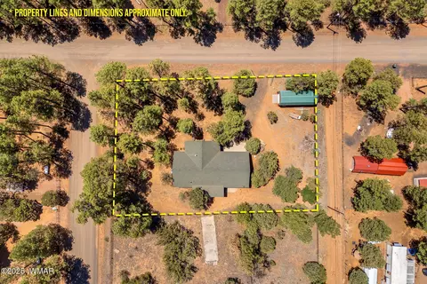 View/Area - 2860 Moose Trl, Overgaard, AZ 85933 photo 6 of 6