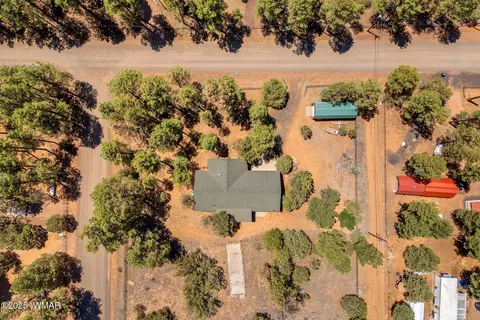 View/Area - 2860 Moose Trl, Overgaard, AZ 85933 photo 3 of 6