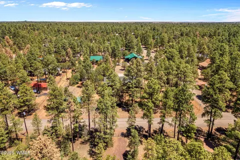 View/Area - 2860 Moose Trl, Overgaard, AZ 85933 photo 5 of 6