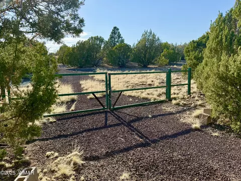 37 Co Rd N8174 101 Acres, Concho, AZ 85924