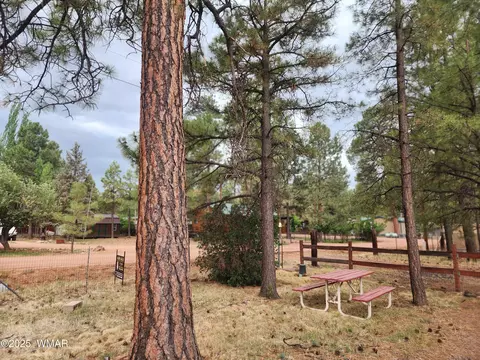 2052 Grey Squirrel Trl, Overgaard, AZ 85933 photo 16