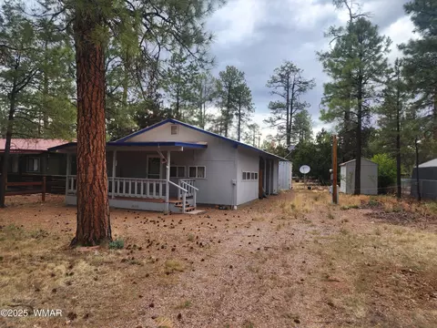 2052 Grey Squirrel Trl, Overgaard, AZ 85933 photo 15