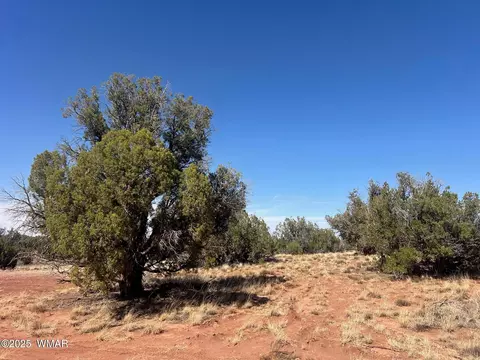 5450 County Line Rd, Snowflake, AZ 85937