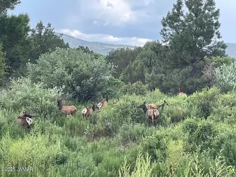 15 N3479, Vernon, AZ 85940