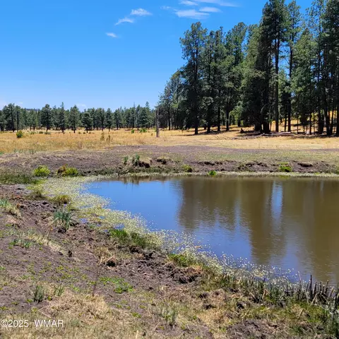 tbd Stone Creek Rd Cr 2117, Alpine, AZ 85920
