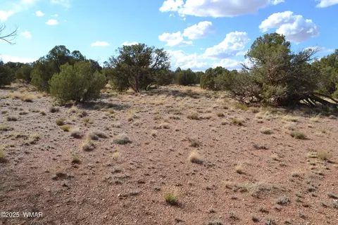 4161 Colt Rd, Snowflake, AZ 85937 photo 9