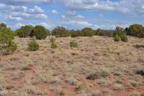 4161 Colt Rd, Snowflake, AZ 85937 photo 4