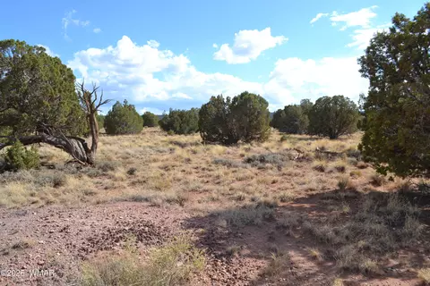 4161 Colt Rd, Snowflake, AZ 85937 photo 8