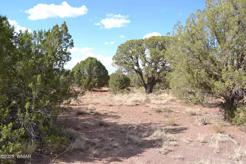 4161 Colt Rd, Snowflake, AZ 85937 photo 7