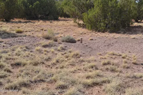 4161 Colt Rd, Snowflake, AZ 85937 photo 5