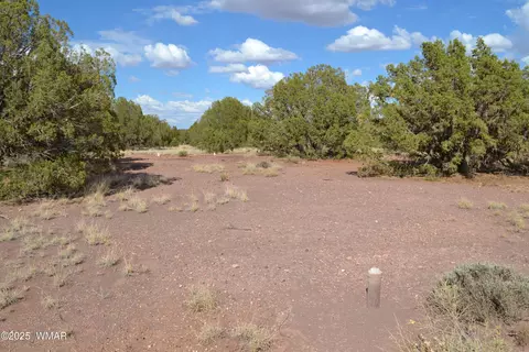 4161 Colt Rd, Snowflake, AZ 85937 photo 6