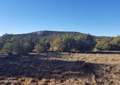 lot35 Cr 8281, Concho, AZ 85924