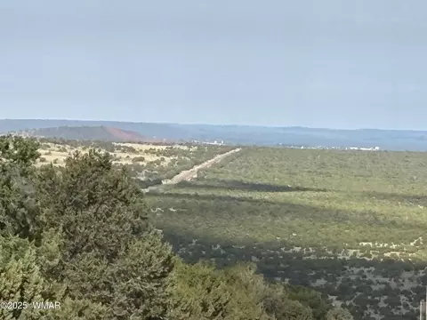 60 County Road 8140, Vernon, AZ 85940