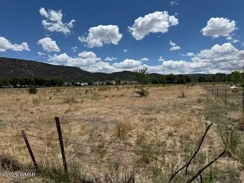 0 E 5th St 451 Acres, Eagar, AZ 85925