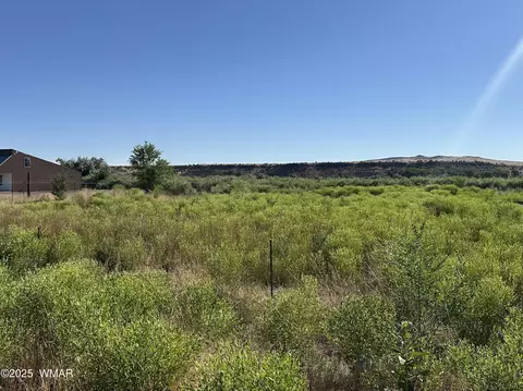 tbd W Main St, Springerville, AZ 85938