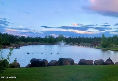 9576 Sierra Springs Dr, Pinetop, AZ 85935