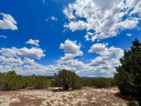 tbd County Rd N8157, Concho, AZ 85924