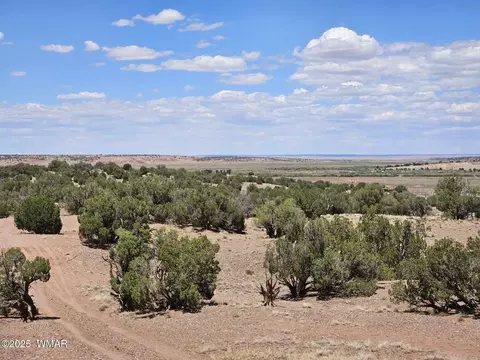 27 N 9183, Concho, AZ 85924