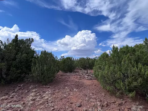 000 Antelope Rd, Show Low, AZ 85901