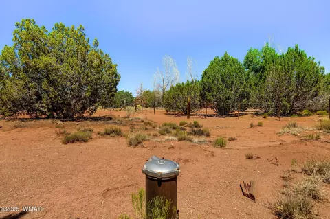 Exterior - 4 N County Road 5501, Concho, AZ 85924 photo 3 of 4