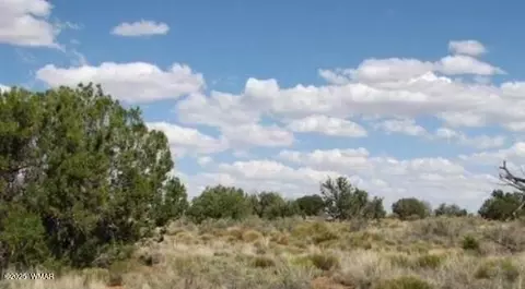 tbd Chevelon Canyon Rnch #LOT 363, Heber, AZ 85928
