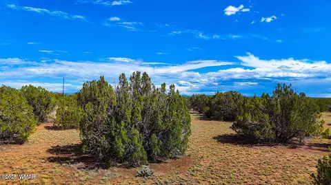 8730 Coronado Dr, Show Low, AZ 85901