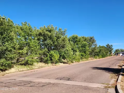 tbd 19th St, Snowflake, AZ 85937 photo 8