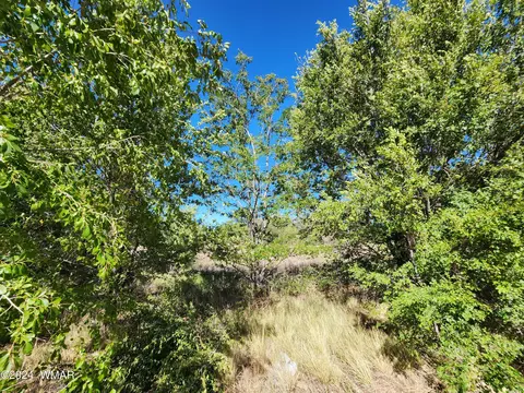 tbd 19th St, Snowflake, AZ 85937 photo 2