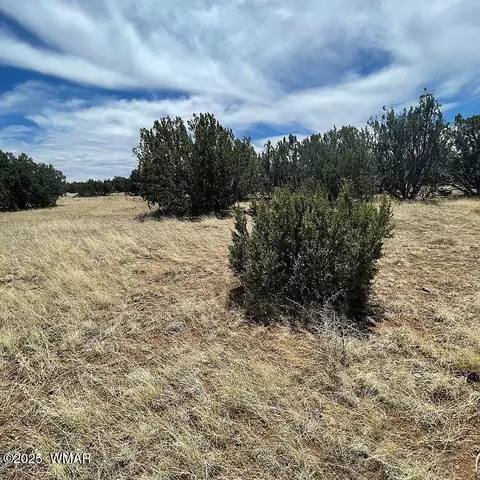 29 County Road 8069, Concho, AZ 85924
